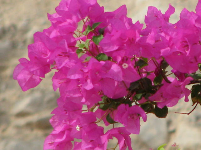 b0161073_22452360.jpg