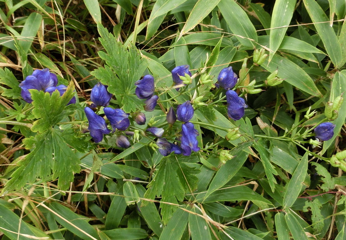 b0185573_15114946.jpg