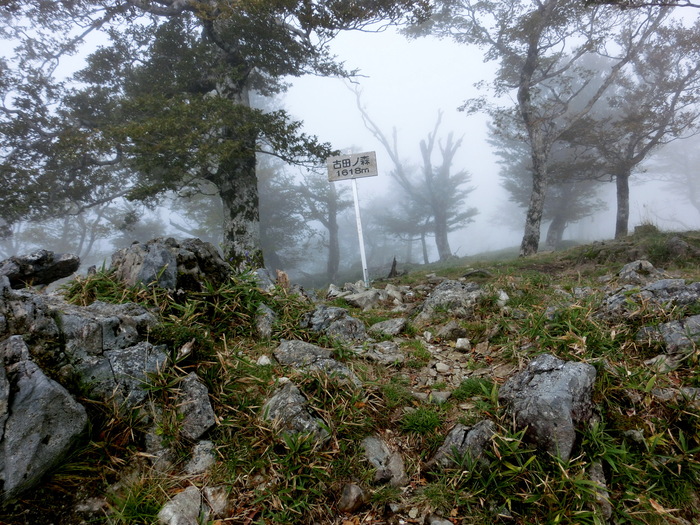 b0185573_17224829.jpg
