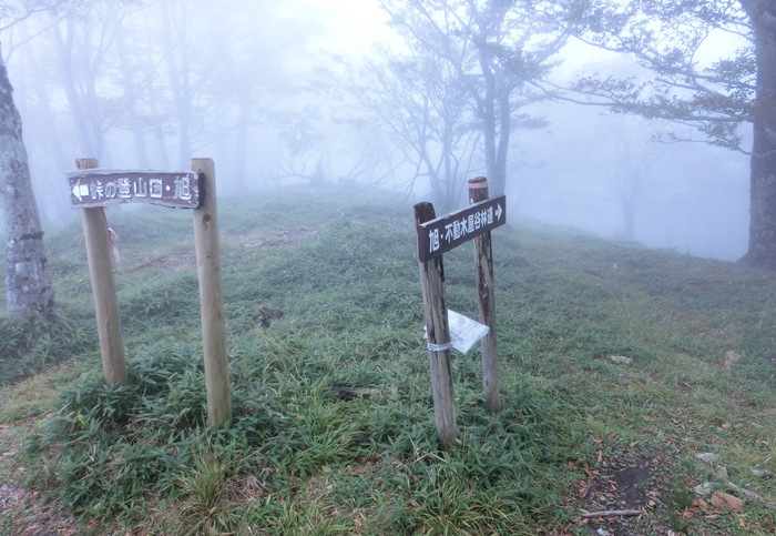 b0185573_1772524.jpg