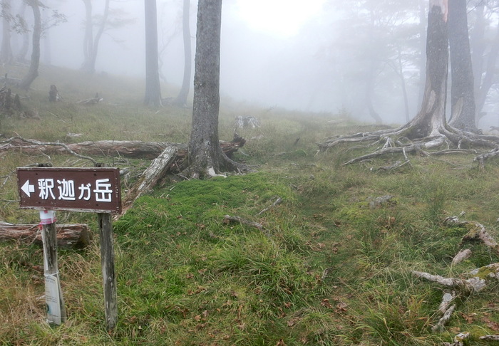 b0185573_19362410.jpg