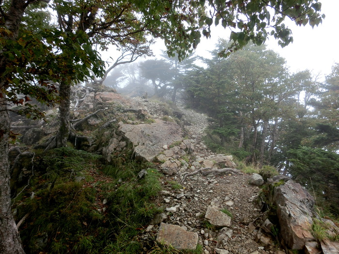 b0185573_19503488.jpg