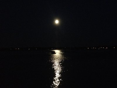c0353373_23564475.jpg