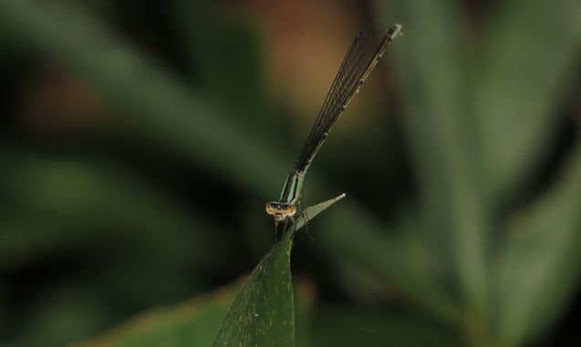 d0020180_12203445.jpg