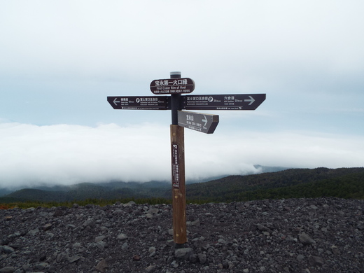 e0145782_62688.jpg