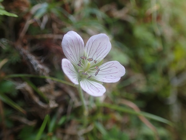 f0252883_17314764.jpg