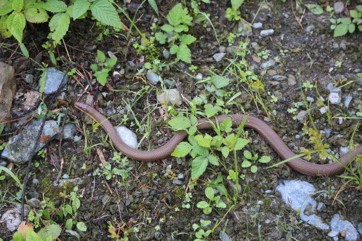 c0358784_09341564.jpg
