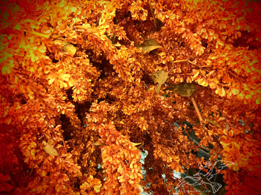 a0202890_18574929.jpg