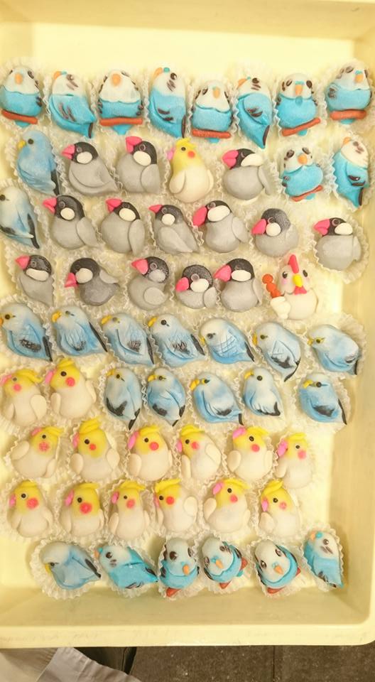 インコと鳥の雑貨展 ９月２５日に限定販売の練りきり_d0322493_842218.jpg