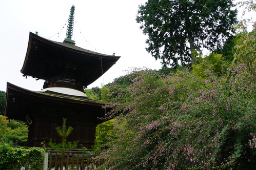 京都・大阪旅日記⑤　嵐山・嵯峨野巡り 1（法輪寺→野宮神社→常寂光寺→二尊院）_f0165495_20224736.jpg