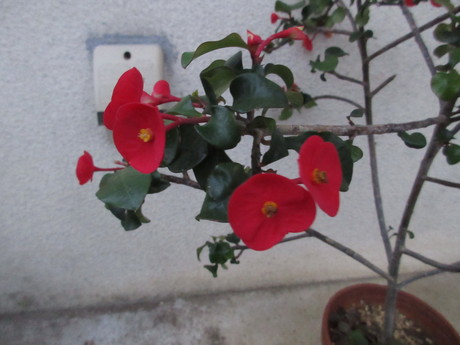 a0203003_6272670.jpg