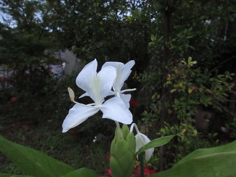 a0203003_6274777.jpg