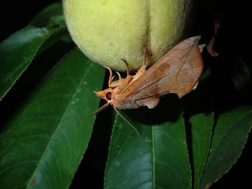 b0137208_23334415.jpg