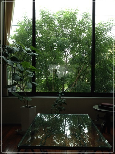 b0289710_08294812.jpg