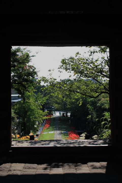 d0077811_21074782.jpg