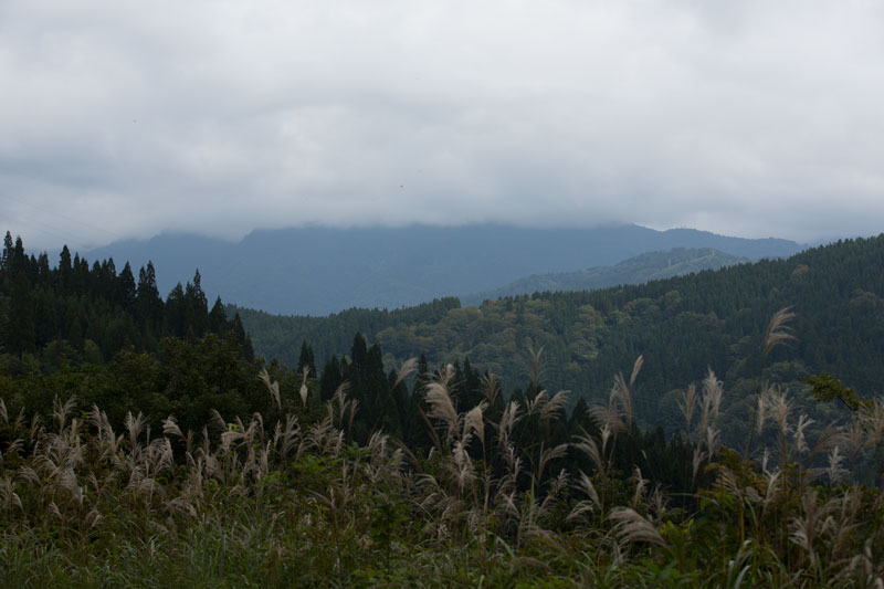 a0278914_18195029.jpg