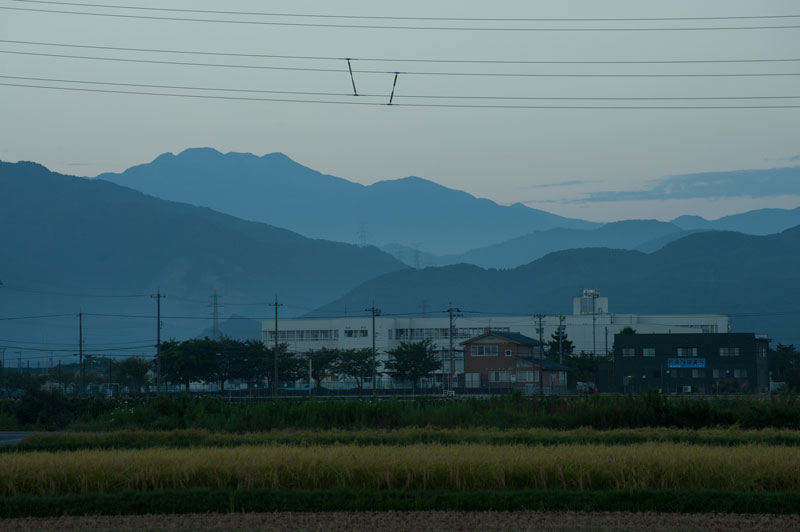 a0278914_501279.jpg