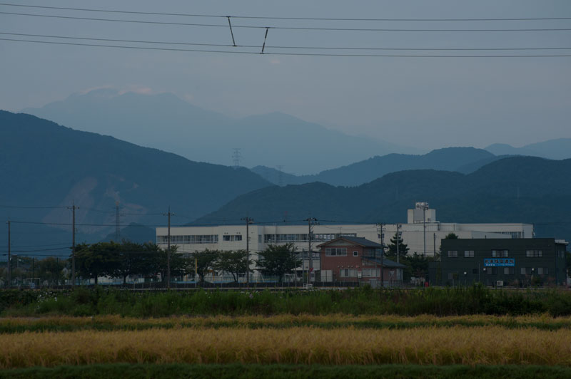 a0278914_504435.jpg
