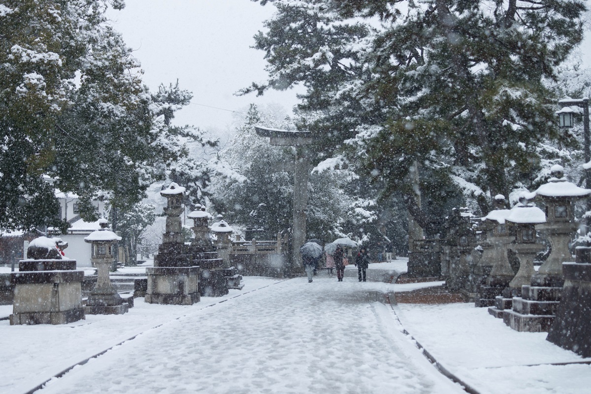 大雪＠京都_e0346322_15163077.jpg