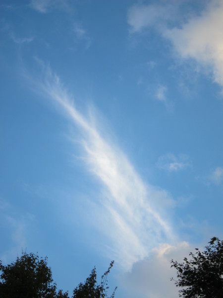 Fall time nature in SweetGrass ーSG秋便り_b0174425_18322555.jpg