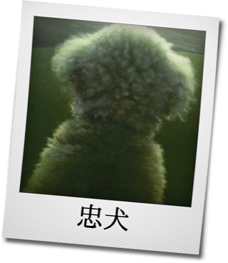 b0320131_16270480.png