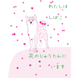 a0286340_17415797.gif