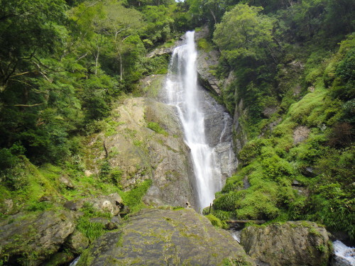 c0179351_21000648.jpg