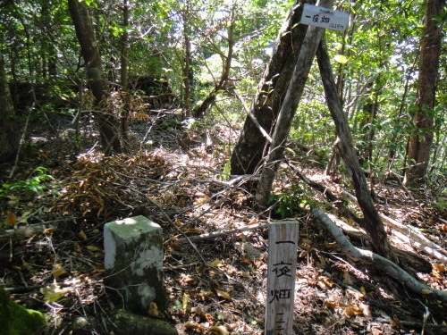 c0179351_21014779.jpg