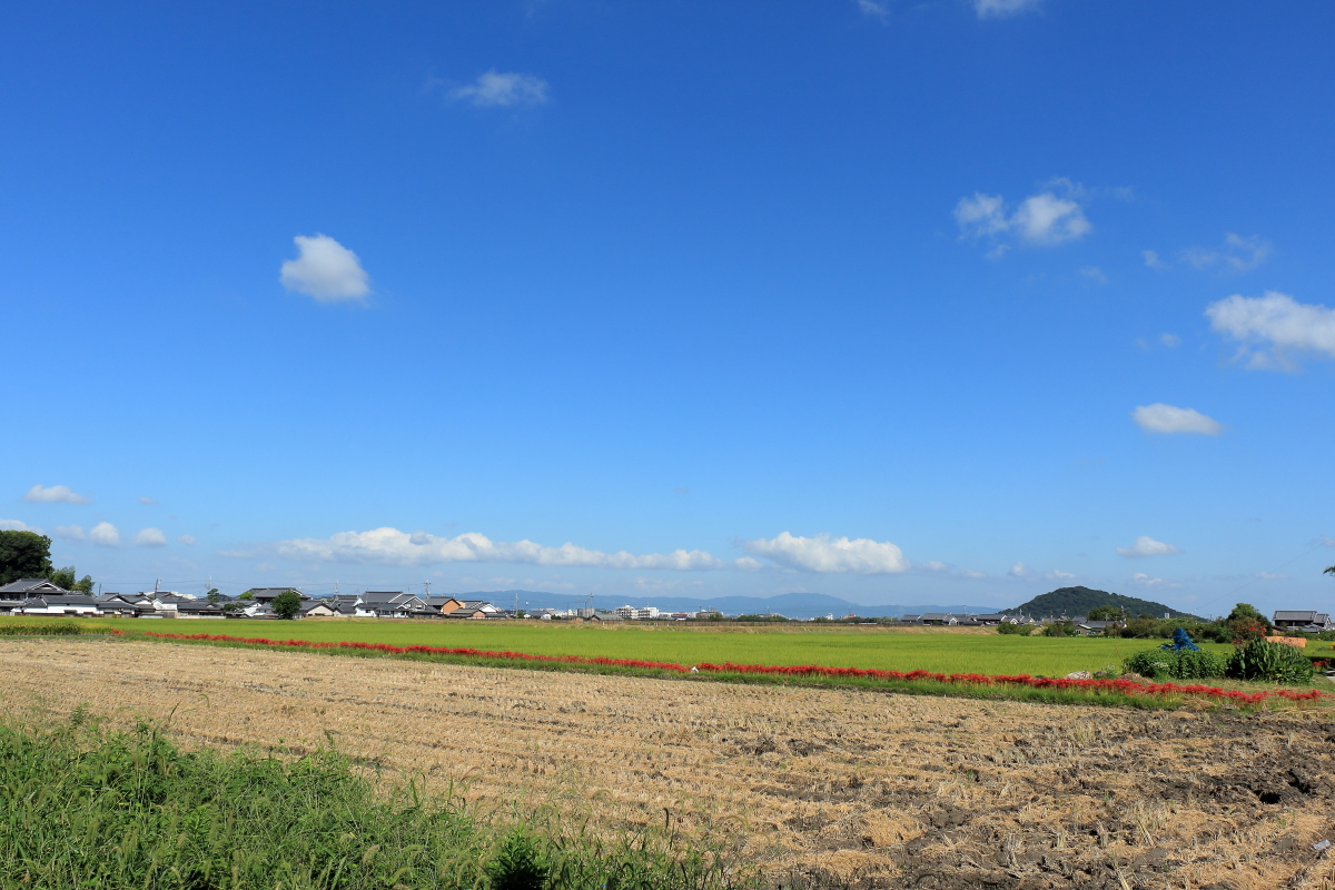 c0272958_2032461.jpg