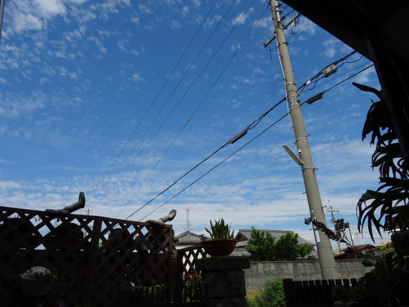 c0108460_17553834.jpg