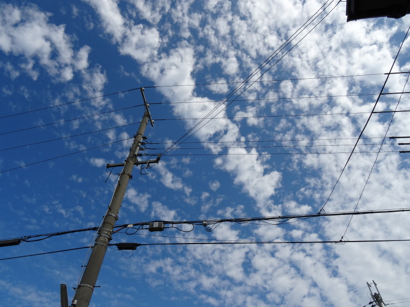 c0108460_17554019.jpg