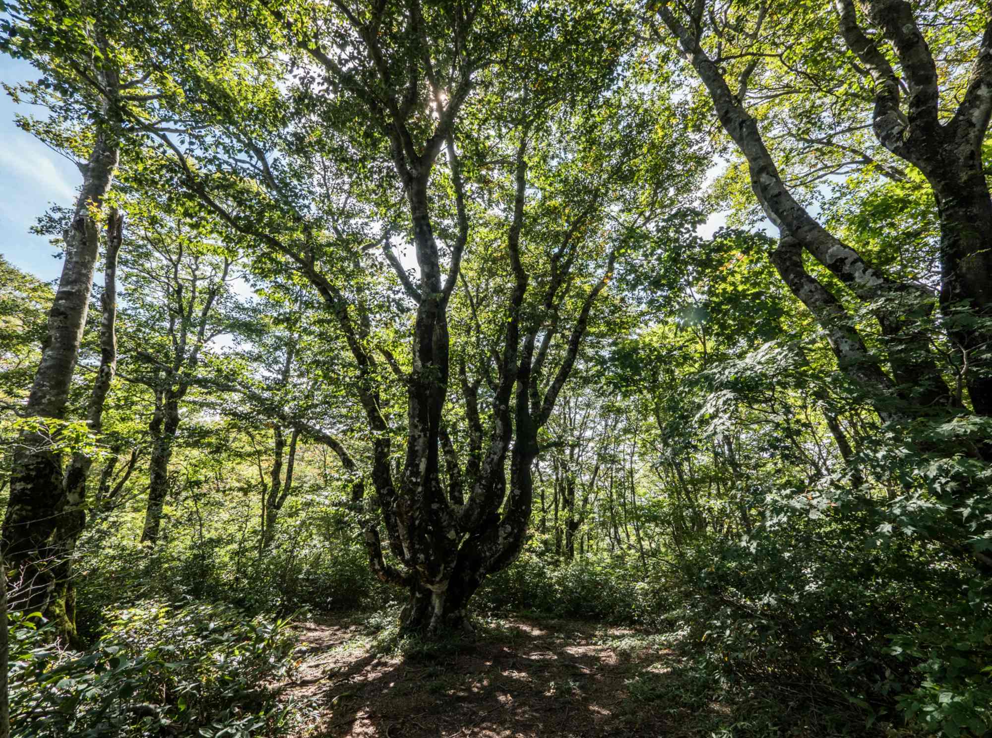 e0015567_22331796.jpg