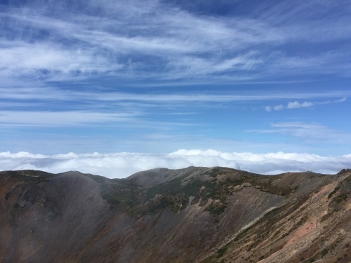 d0340169_06270121.jpeg