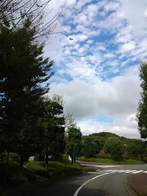 e0274872_21395587.jpg