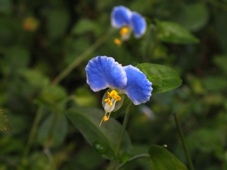 b0214473_827731.jpg