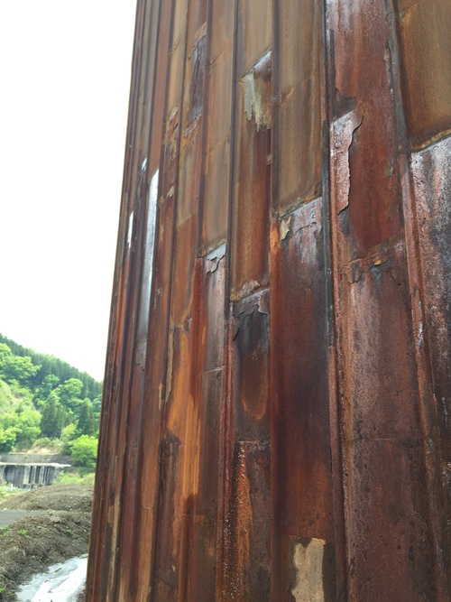 新潟”津南”で山菜取り _a0289775_18563291.jpg