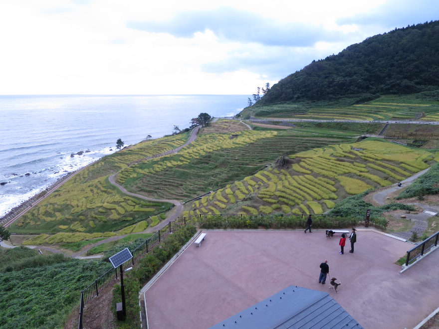 北陸の旅　その３～輪島朝市から能登半島先端へ_b0184877_1241313.jpg