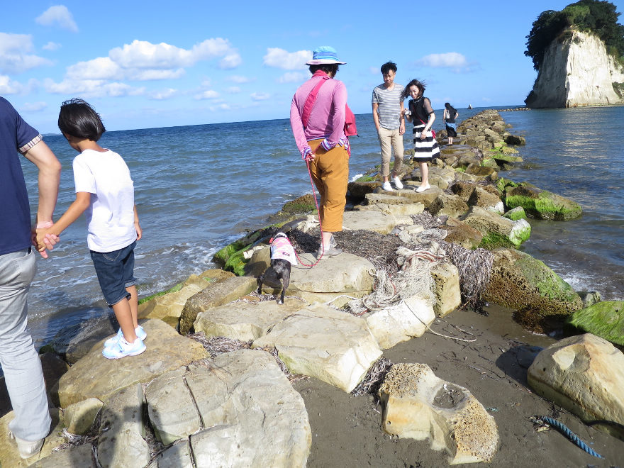 北陸の旅　その３～輪島朝市から能登半島先端へ_b0184877_1336021.jpg