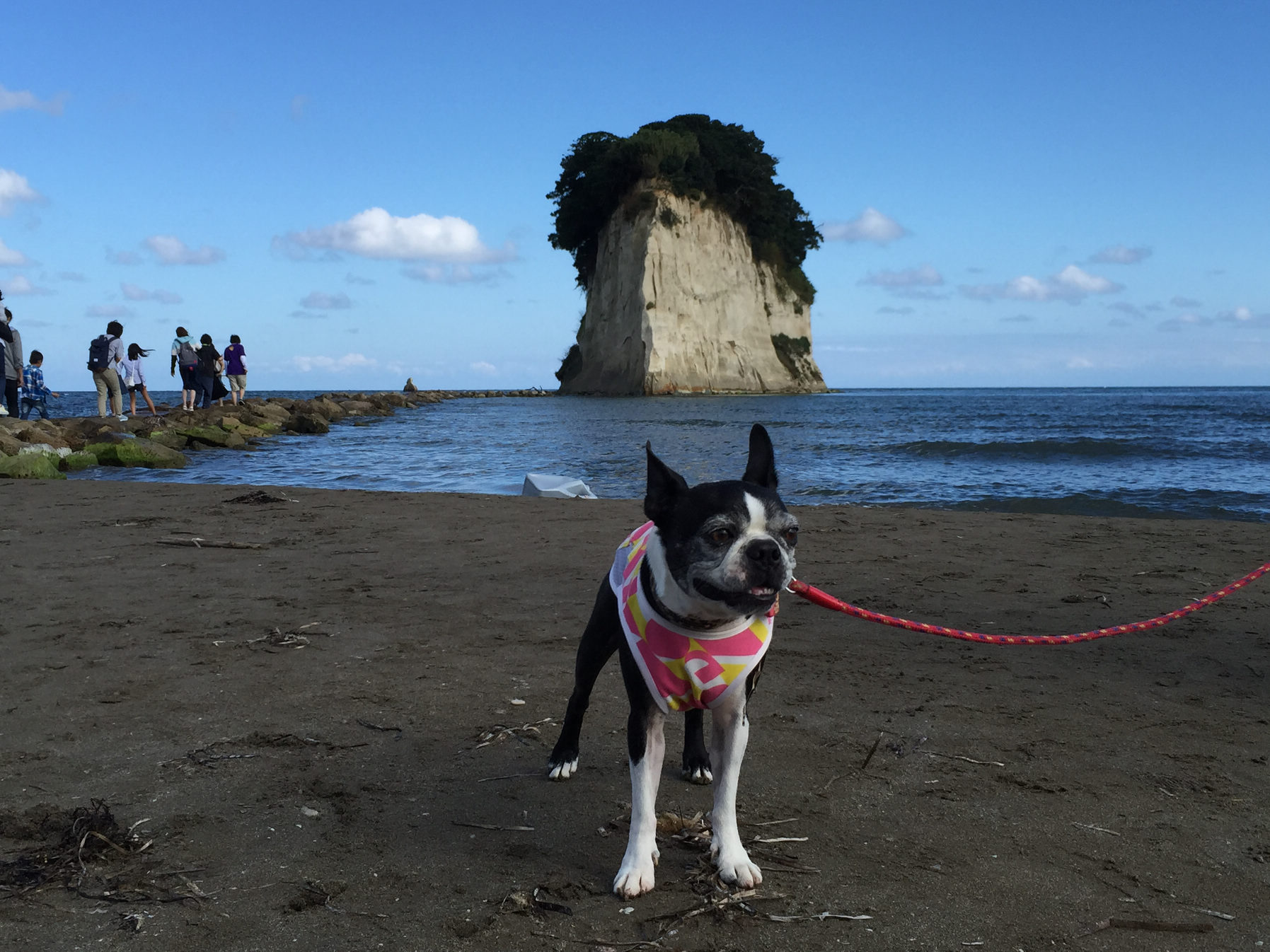 北陸の旅　その３～輪島朝市から能登半島先端へ_b0184877_13363585.jpg