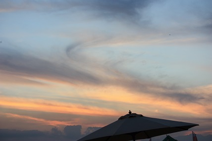 c0343177_01143286.jpg