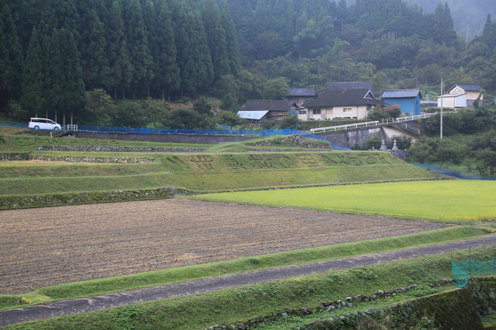 c0358784_22222344.jpg