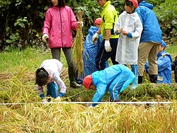 稲刈り体験(月光原小・西根小)_d0247484_13505085.jpg