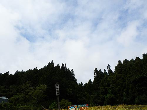 稲刈り体験(月光原小・西根小)_d0247484_13532463.jpg