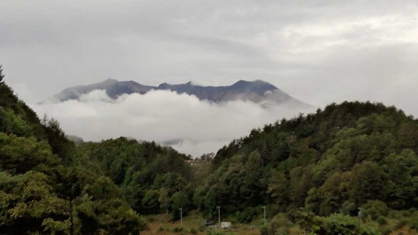 a0130586_83786.jpg