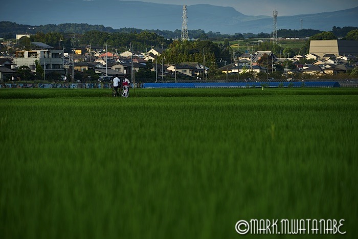 恋人たちの夏休み_e0135098_921623.jpg