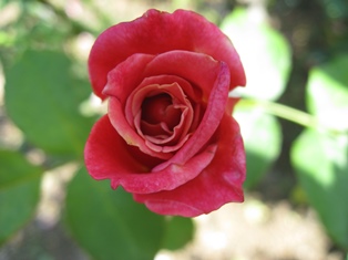 e0220001_2131555.jpg