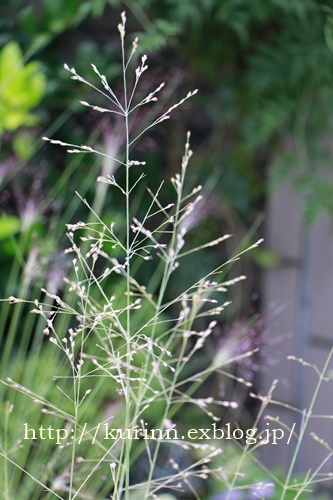 a0123003_10162325.jpg