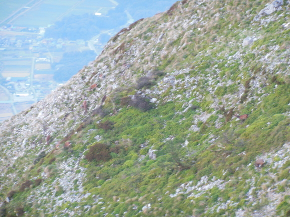 e0336405_21261523.jpg