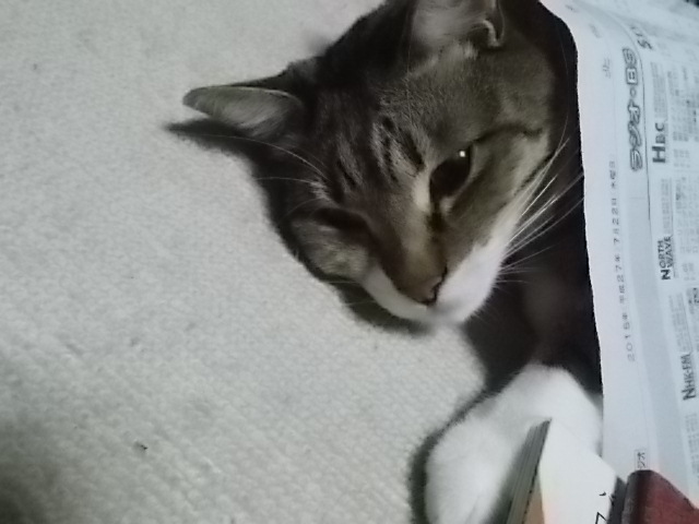 迫真の演技_f0316507_16463398.jpg
