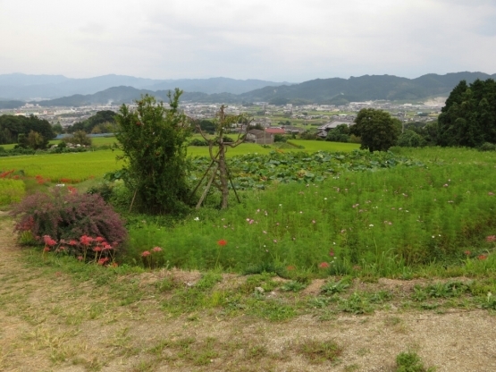 d0259209_12413039.jpg